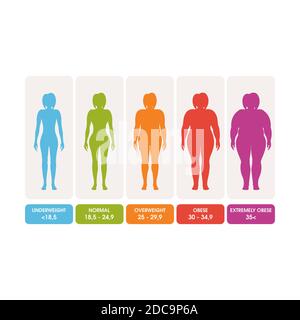 Body mass index vector illustration design template Stock Vector