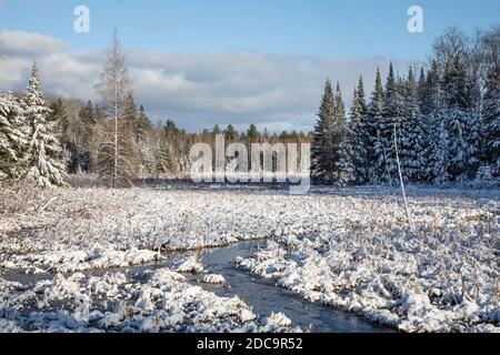 First snow in the marsh Stock Photo