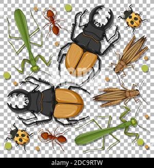 Set of different insects on transparent background illustration Stock Vector
