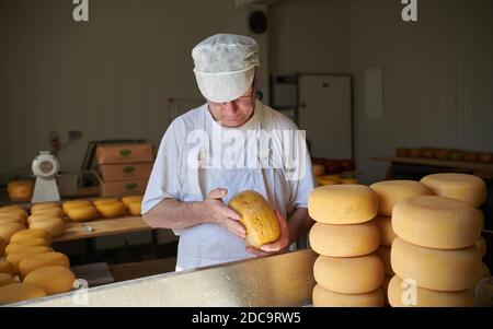 Cheese maker at local production factory Stock Photo