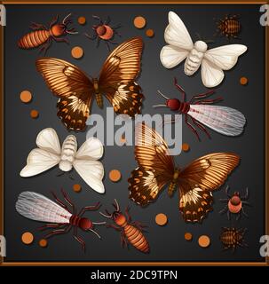 Set of different insects in wooden frame background illustration Stock Vector