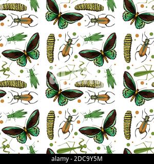 Different insects seamless pattern white background illustration Stock Vector