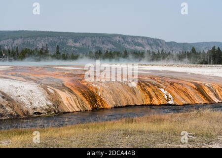 Hot water from Sunset Lake with mats of colorful thermophilic bacteria drains into Iron Spring Creek in the Black Sand Basin of Yellowstone National P