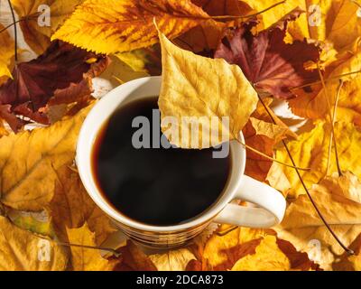 Bright yellow autumn leaf on the edge of the mug with hot steaming coffee. Cup with hot beverage among bright yellow and red leaves in the sunlight. Stock Photo