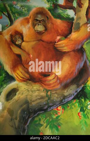 Sumatran Orangutan Pongo abelii mother and baby Art Stock Photo