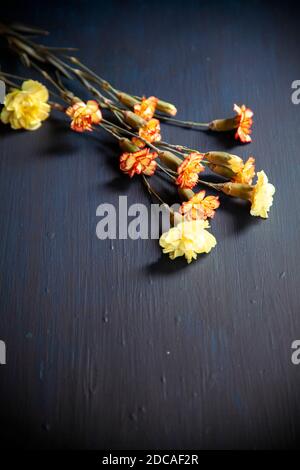 Bunch of Loose Carnation Stems Stock Photo