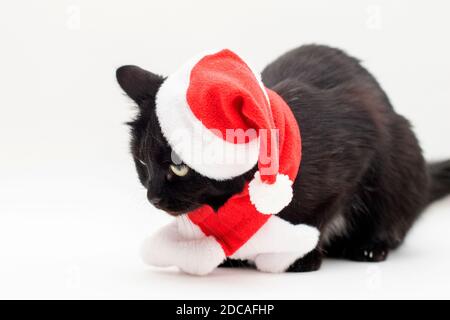 christmas dress cats Amazon.com : Vellibring Cat Christmas Outfit Green Pet Cloak with Hat with Star and Pompoms Puppy Cape Clothes Xmas Tree Elf Costumes Party Pet Supplies Accessories for Small Dogs Cats Pet Santa