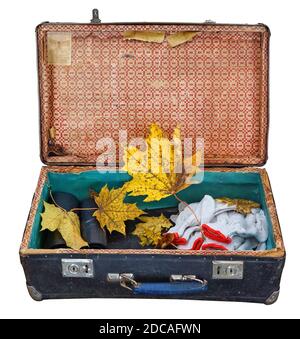 Old fiber suitcase with autumn maple leaves isolated Stock Photo