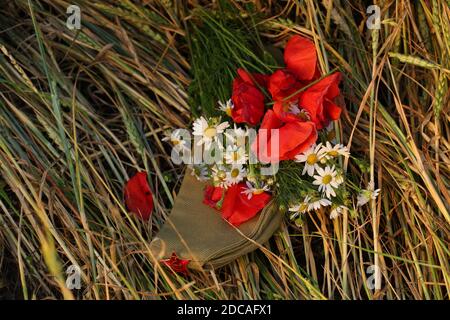 and a bouquet of poppies and daisies Stock Photo