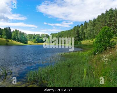 Landscape of Dobellus Duzy Lake in Suwalszczyzna, Poland at a day. Stock Photo