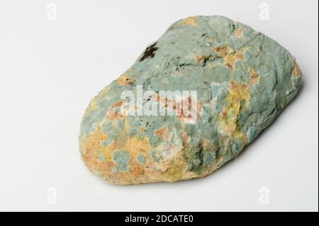 Piece of bread covered with mould isolated on white background Stock Photo