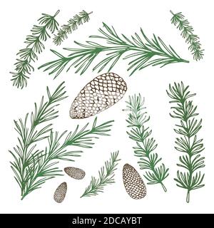 Pine branches for Christmas decorations, set composition banner realistic abstract vector illustration Stock Vector