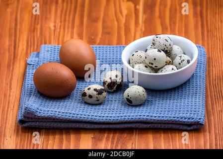 Raw chicken eggs and small quail eggs on blue kitchen cloth. Chicken and quail eggs rustic background. Stock Photo