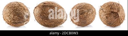 Coconuts - large brown tropical fruits isolated on white background. Stock Photo