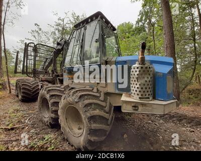 forwarder in a forest, Germany Stock Photo