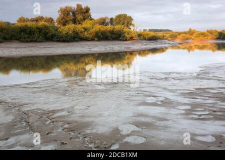 valley of the Durme, Belgium, East Flanders, Tielrode Stock Photo