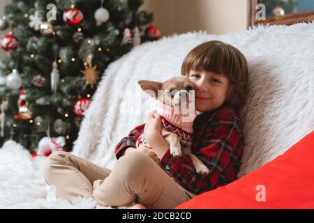 Chihuahua dog in sweater hug child's on couch with blanket at Christmas. Stock Photo