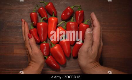 Male and female hand holding forming shape of chillies or peppers and capsicums or bell peppers. sweet bell, paprika, cayenne, chilli, hungarian wax Stock Photo