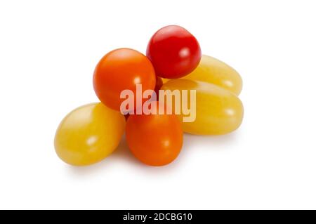 Studio shot of multi-coloured tomatoes cut out against a white background - John Gollop Stock Photo