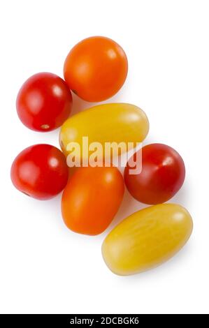 Studio shot of multi-coloured tomatoes cut out against a white background - John Gollop Stock Photo