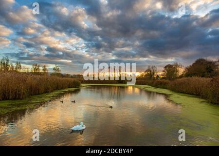 Pershore Abbey across the lake at Avon Meadows Wetland Reserve at sunset in the winter, Worcestershire, England Stock Photo