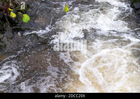 Frothing turbulent bubbly water flowing in a stream in autumn November rural Carmarthenshire Wales Great Britain UK   KATHY DEWITT Stock Photo