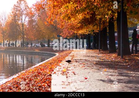 Autumn landscape view of the lake side of Omegna on Orta lake. Nice red foliage on the shaded walk way Stock Photo