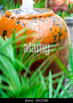 Cyperus Umbrella plant and the small fountain in ceramic jar Stock Photo
