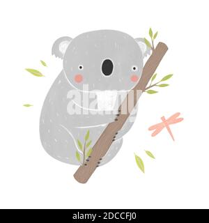 Koala sitting on eucalyptus tree on a white background. Hand drawn cartoon character Stock Photo