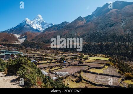 Panboche or Pangboche settlement is a small village on 3985m altitude with Ama Dablam 6812m picturesque mountain summit on the background. Small agric Stock Photo