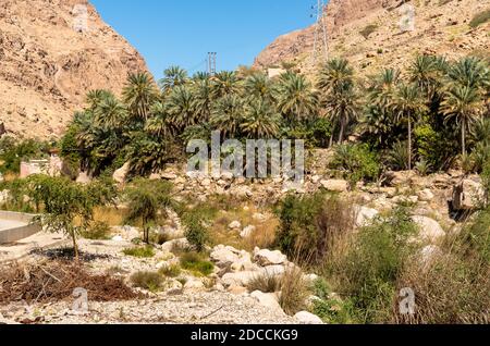 Landscape of Wadi Tiwi oasis with mountains and palm trees in Sultanate of Oman. Stock Photo