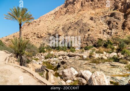 Landscape of Wadi Tiwi oasis with mountains and palm trees in Sultanate of Oman. Stock Photo