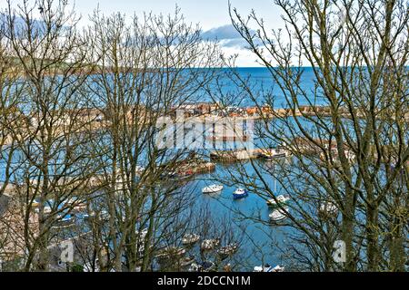 STONEHAVEN ABERDEENSHIRE SCOTLAND THE COWIE HARBOUR SEEN THROUGH TREES IN WINTER Stock Photo