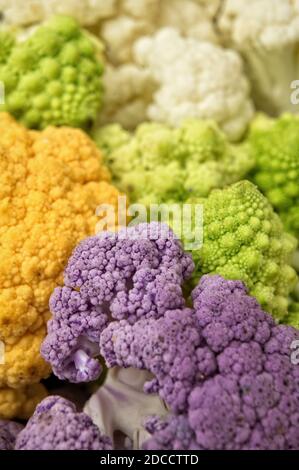 Colorful cauliflowers closeup Stock Photo