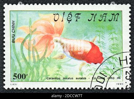 A stamp printed in Vietnam shows a drawing goldfish Red-headed Oranda (Carassius auratus auratus),  series 'Goldfish', 1990 Stock Photo