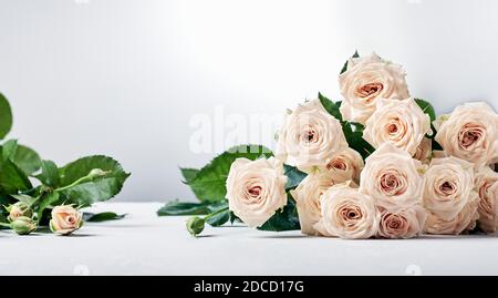 Delicate beige flowers roses on a light background. Stock Photo