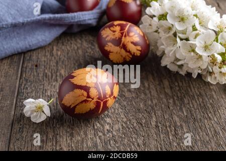 Easter eggs dyed with onion peels with a pattern of plants on a table, with cherry blossoms in the background Stock Photo