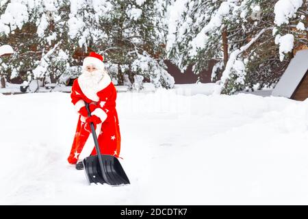 Santa Claus with a white beard, in a red fur coat, hat and mittens removes snow with a shovel against background of snow-covered Christmas trees. Stock Photo