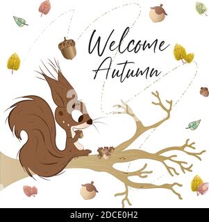 Squirrel on a tree branch Stock Vector