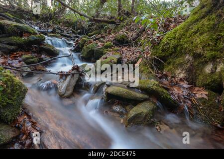 A small woodland stream flowing over mossy stones in the Great Smoky Mountains National Park in Tennessee. Stock Photo