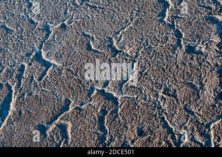 Shallow waters cover the hard salt pan of Lake Tyrrell in the Mallee region of northwest Victoria, Australia, which covers 180 square km Stock Photo