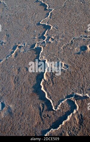 Shallow waters cover the hard salt pan of Lake Tyrrell in the Mallee region of northwest Victoria, Australia, which covers 180 square km Stock Photo