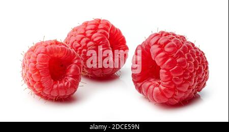 fresh red raspberries macro isolated on white background Stock Photo