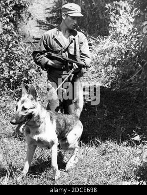 WW II - An American GI with a Thompson submachine gun and a military K-9 German Shepherd are on patrol somewhere in southeast Asia, about 1944, during the Second World War.  John T. Thompson invented this submachine gun during WW I, and it became Famous during the alcohol wars of Prohibition.   To see my other WW II-related images, Search:  Prestor  vintage  WW II Stock Photo