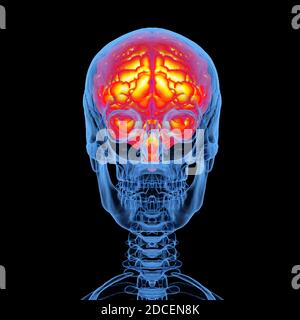 Human brain isolated on black background - 3D illustration Stock Photo ...