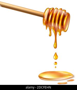 3d realistic vector honey comb wooden spoon in honey and drops of honey. Stock Vector