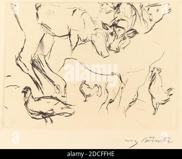 Lovis Corinth, (artist), German, 1858 - 1925, Fritz Gurlitt, (publisher), German, 1854 - 1893, Verschiedene Tierstudien (Animal Studies), 1917, drypoint in black on laid paper, plate: 12.4 x 17.1 cm (4 7/8 x 6 3/4 in.), sheet: 21.8 x 27.4 cm (8 9/16 x 10 13/16 in Stock Photo