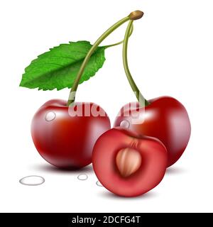3d realistic vector cherry with half cherry with seed. Isolated on white background. Stock Vector