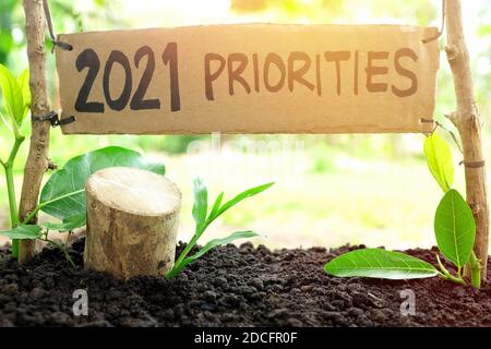 2021 priorities banner in natural background. New Year 2021 setting life priority, goal and plan concept. Stock Photo