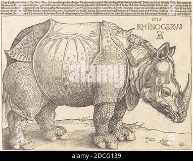 Albrecht Dürer, (artist), German, 1471 - 1528, The Rhinoceros, 1515, woodcut on laid paper, sheet (trimmed to image): 23.5 x 29.8 cm (9 1/4 x 11 3/4 in Stock Photo